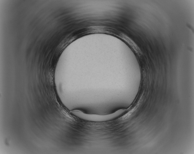 X0000097750857200804041101