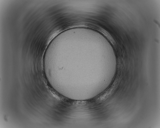 X0000097750858200804041101