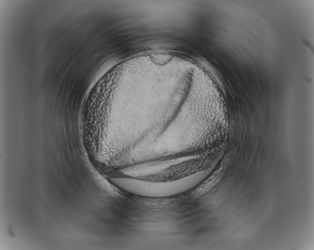 X0000097750859200804041101