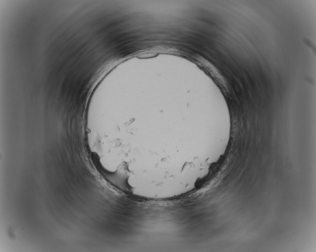 X0000097750860200804041101