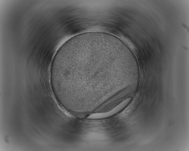 X0000097750862200804041101