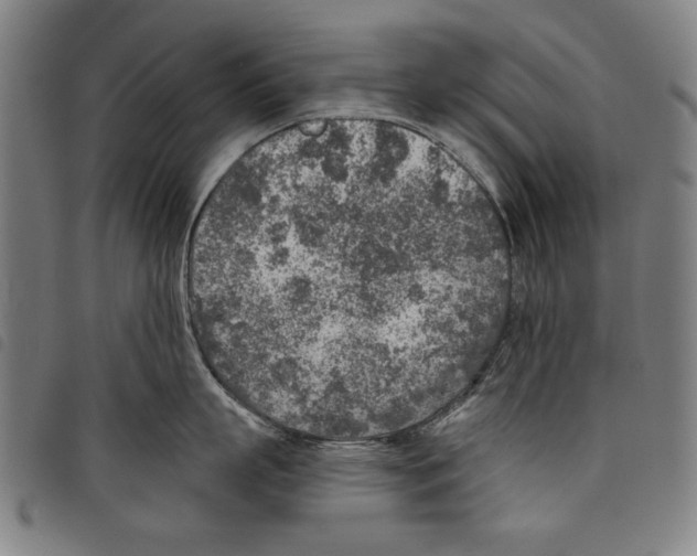 X0000097750863200804041101