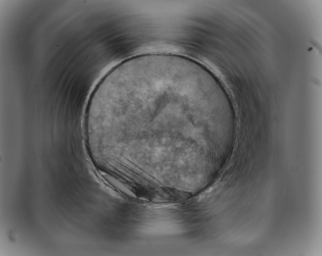 X0000097750864200804041101