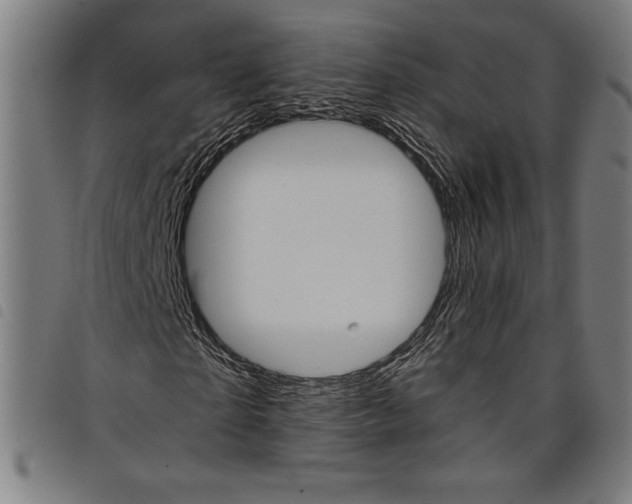 X0000097750865200804041101