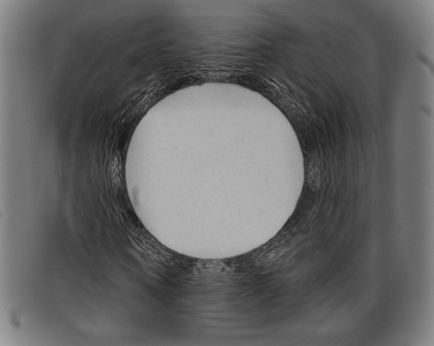 X0000097750866200804041101