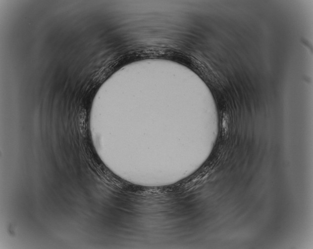 X0000097750867200804041100