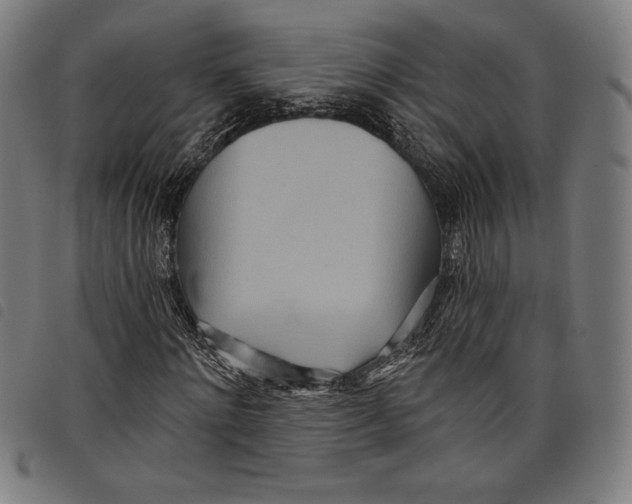 X0000097750868200804041100