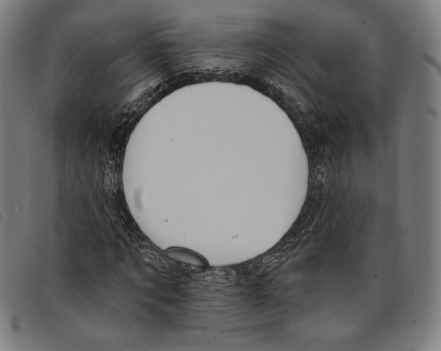 X0000097750869200804041100