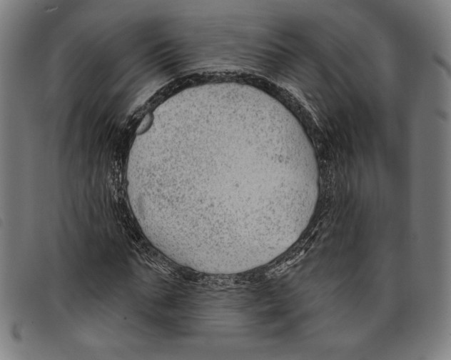 X0000097750871200804041100