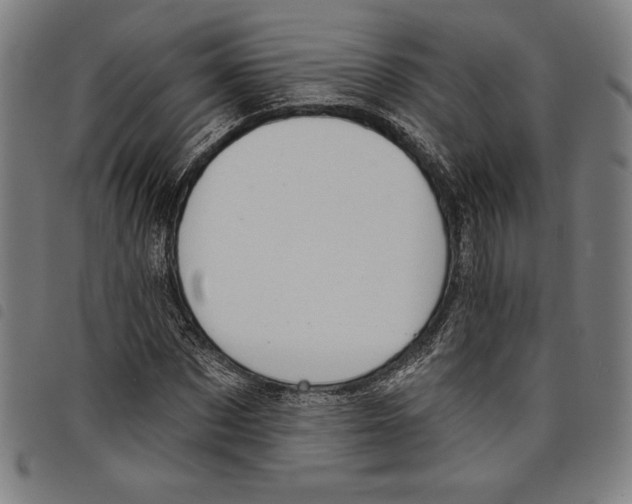 X0000097750873200804041100