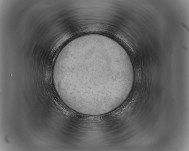 X0000097750874200804041100