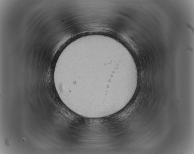 X0000097750875200804041100