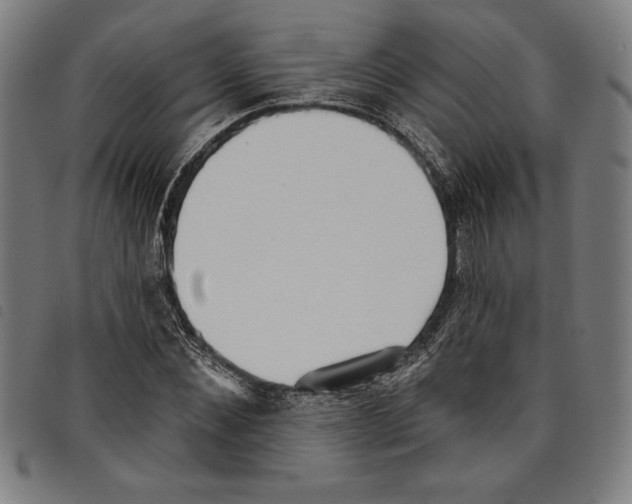 X0000097750876200804041100