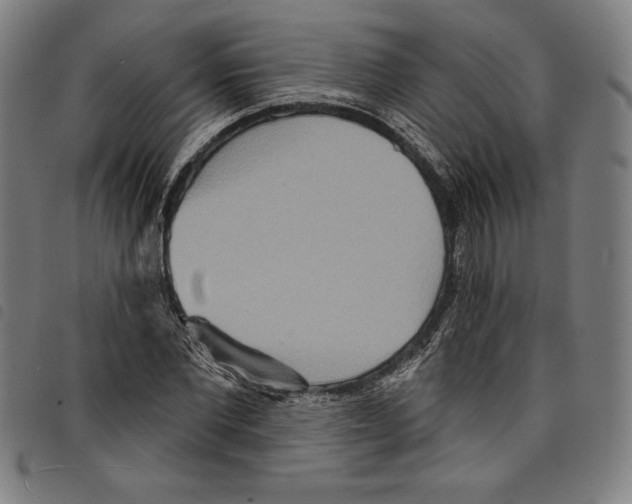 X0000097750877200804041100