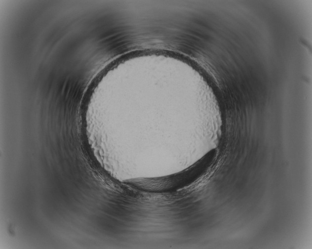 X0000097750879200804041100