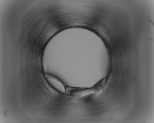 X0000097750881200804041100