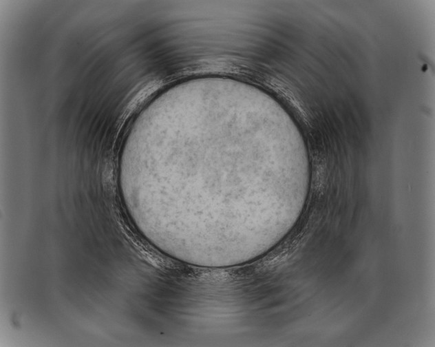 X0000097750882200804041100