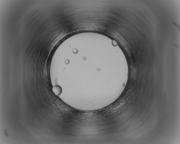 X0000097750883200804041100