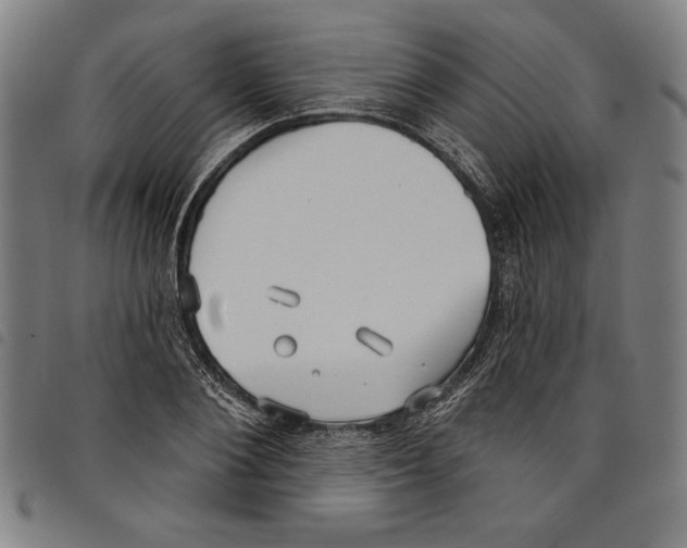 X0000097750884200804041100