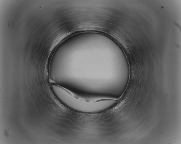 X0000097750885200804041100