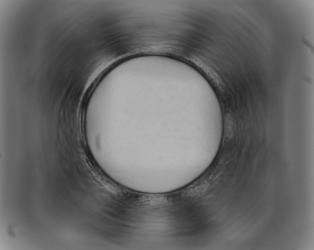 X0000097750886200804041100