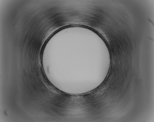 X0000097750887200804041100