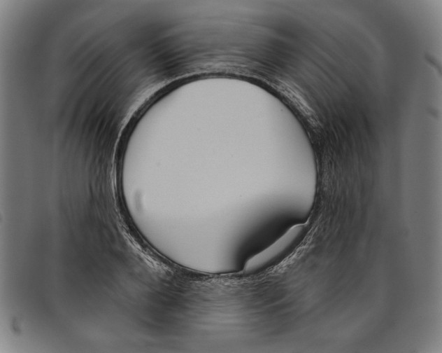 X0000097750888200804041100