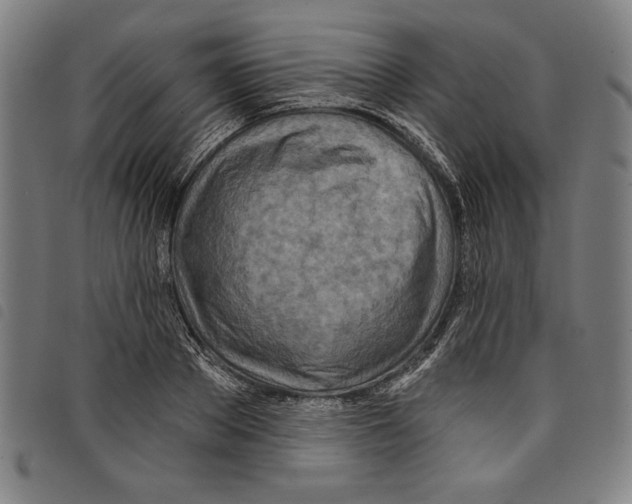 X0000097750889200804041100