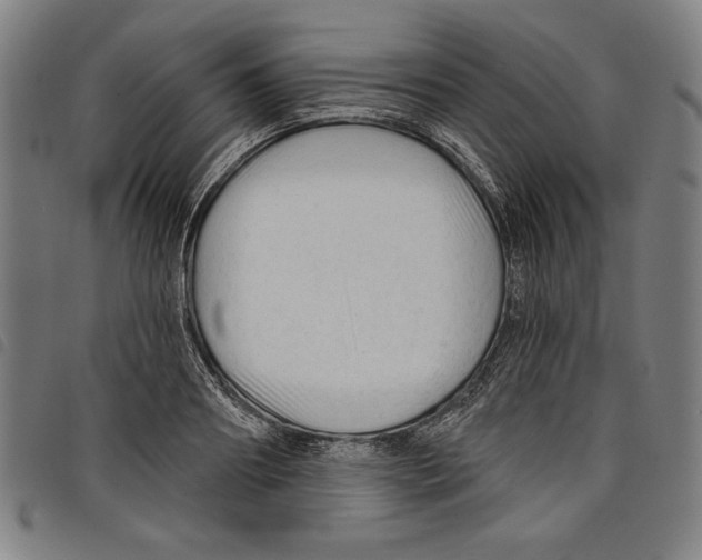 X0000097750890200804041100