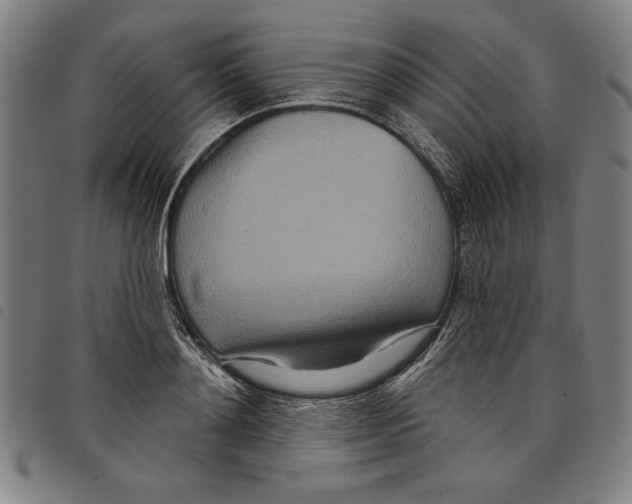 X0000097750892200804041100