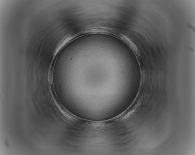 X0000097750893200804041100