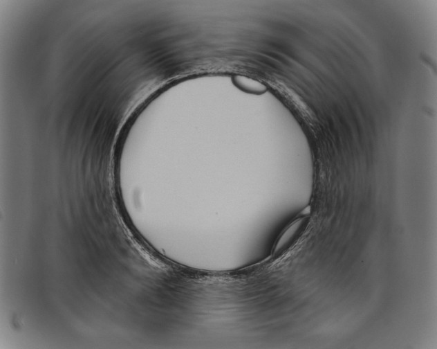 X0000097750894200804041100