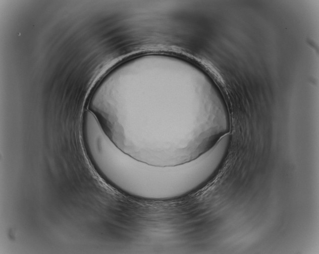 X0000097750895200804041100