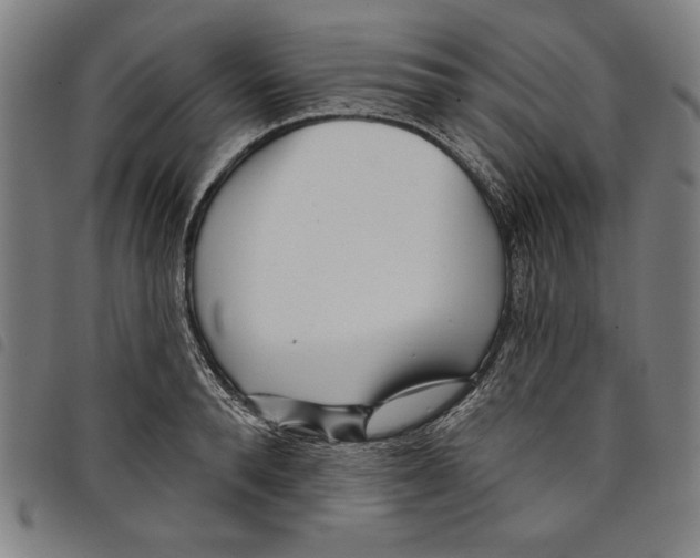 X0000097750896200804041100