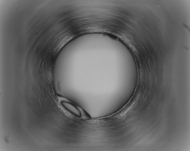 X0000097750897200804041100