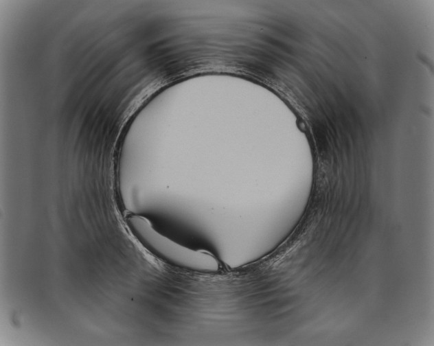 X0000097750898200804041100