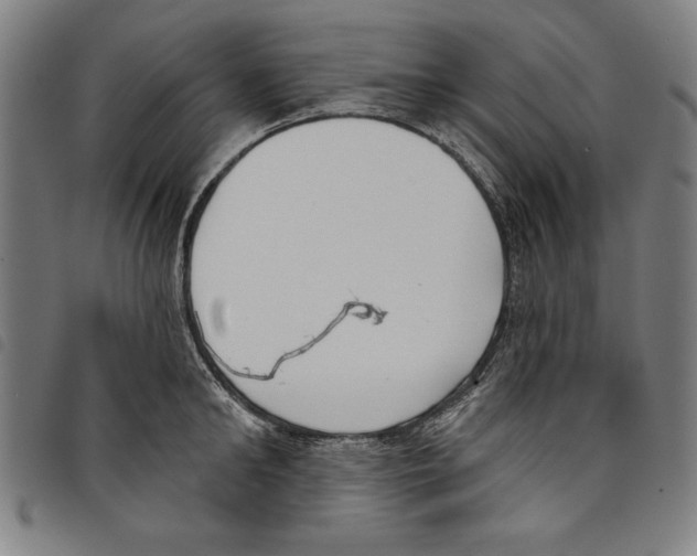 X0000097750902200804041100