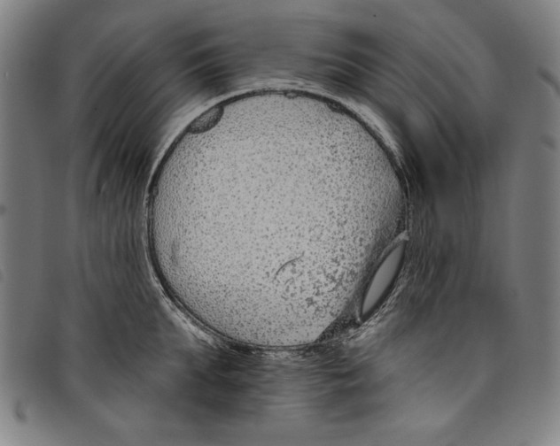 X0000097750903200804041100