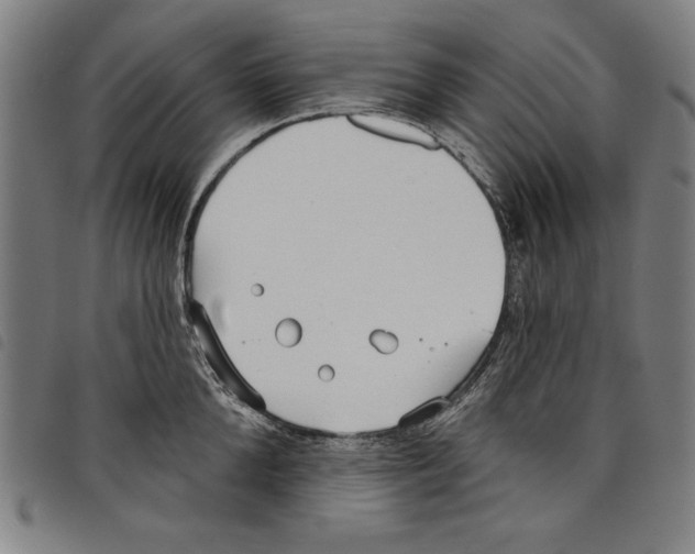 X0000097750904200804041100