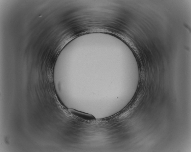 X0000097750905200804041100