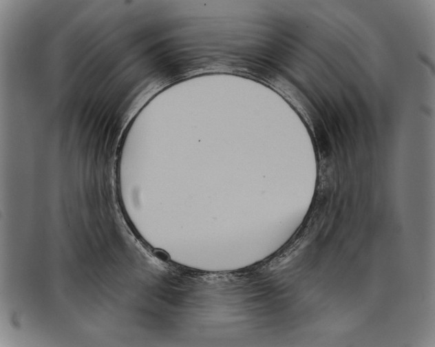 X0000097750906200804041100