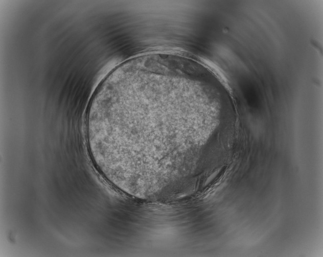 X0000097750907200804041100