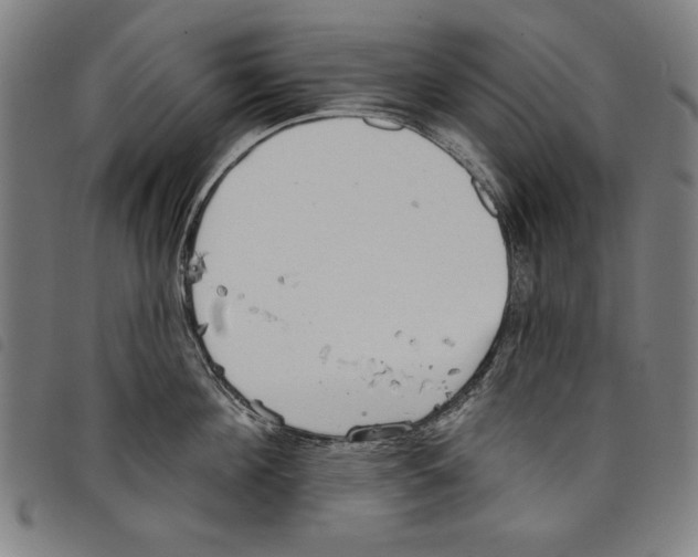 X0000097750908200804041100