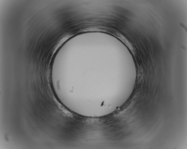 X0000097750909200804041100