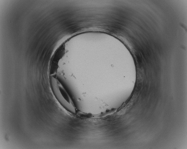 X0000097750910200804041100