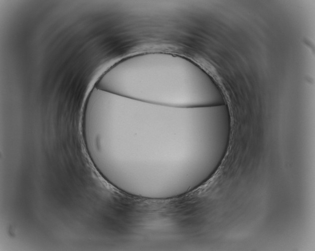 X0000097750912200804041100