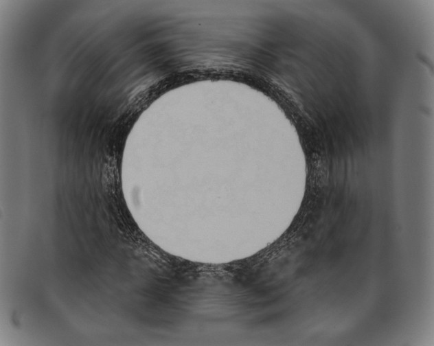 X0000097750918200804041059