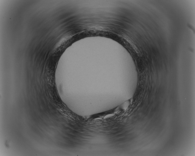 X0000097750919200804041059