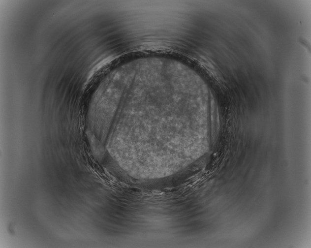 X0000097750920200804041059