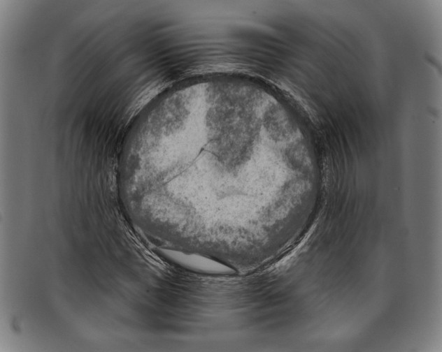 X0000097750921200804041059